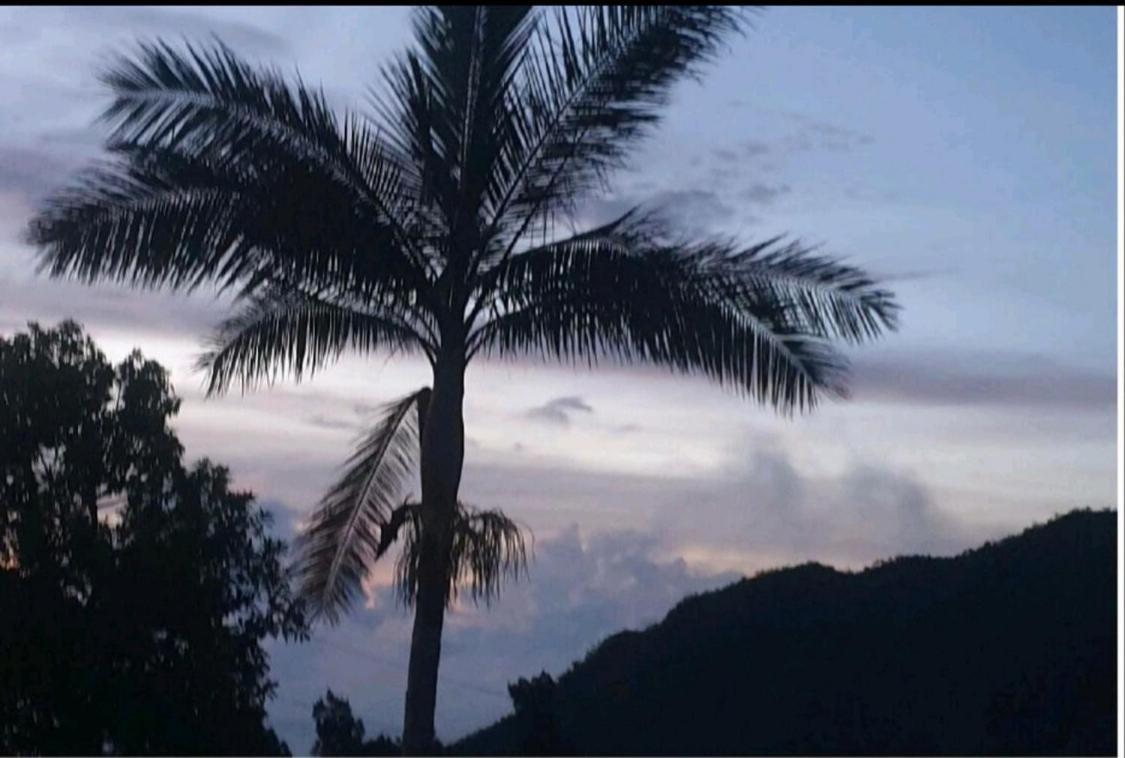 Au Coeur Des Plantations Guest House La Possession Bagian luar foto