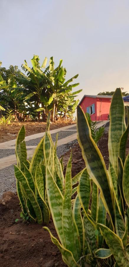 Au Coeur Des Plantations Guest House La Possession Bagian luar foto