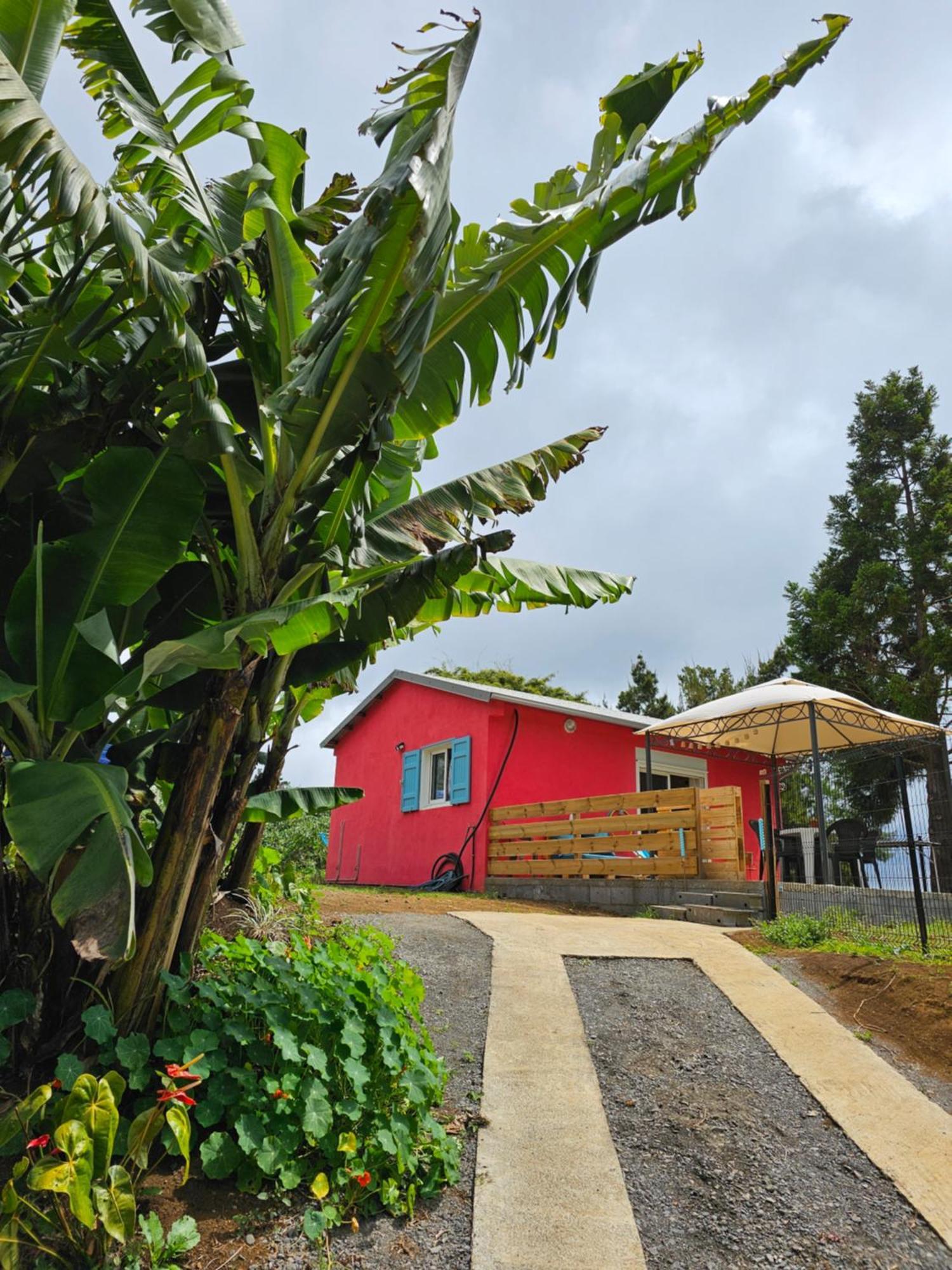 Au Coeur Des Plantations Guest House La Possession Bagian luar foto
