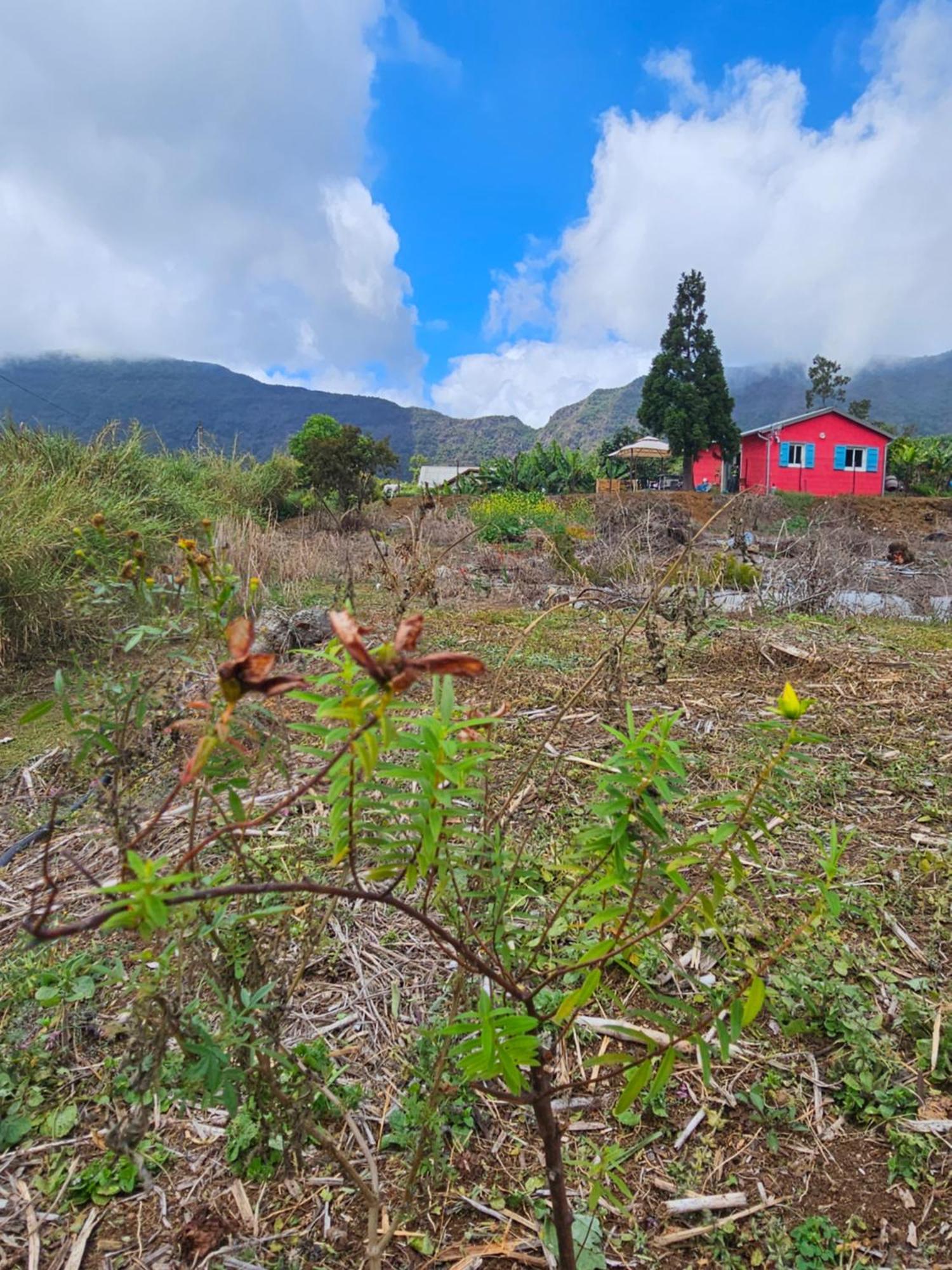 Au Coeur Des Plantations Guest House La Possession Bagian luar foto